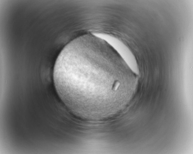 X0000088720470200706212024