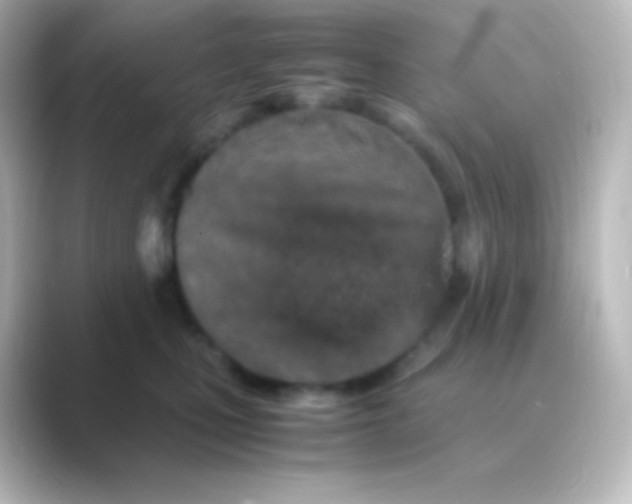 X0000088720471200706212024