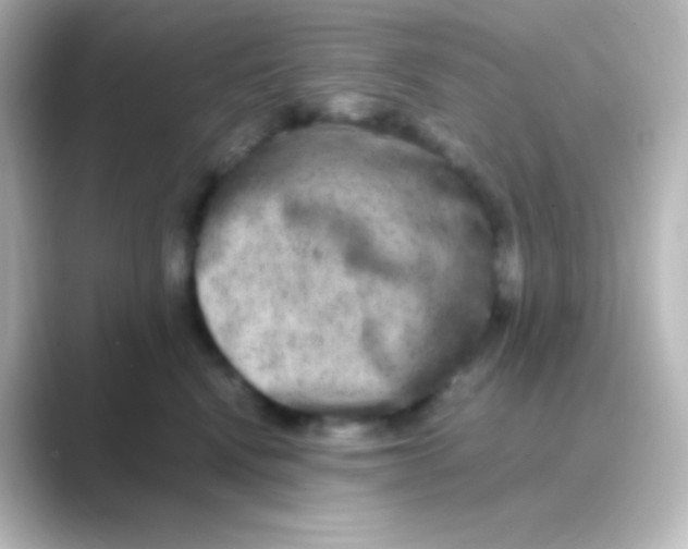 X0000088720472200706212024