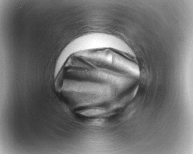 X0000088720474200706212024