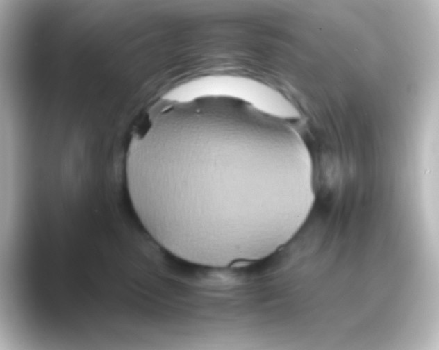 X0000088720475200706212024