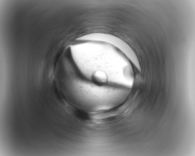 X0000088720478200706212024