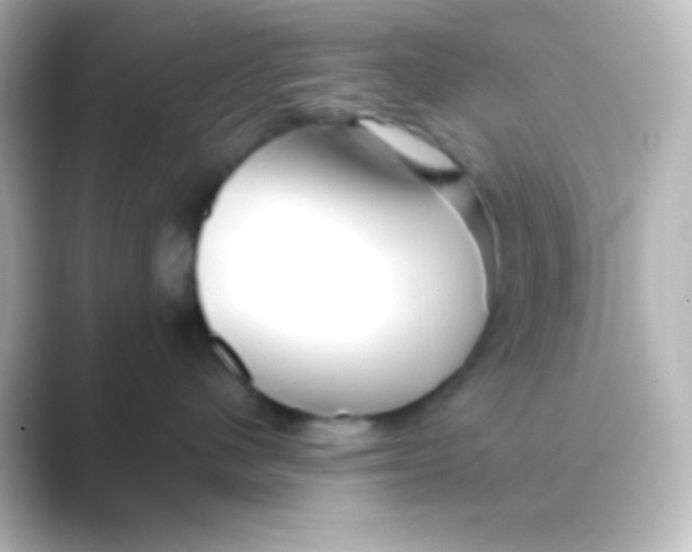 X0000088720480200706212024