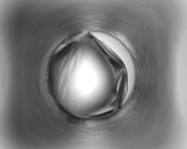 X0000088720481200706212023