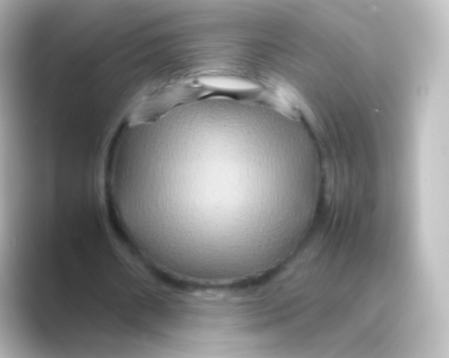 X0000088720482200706212023