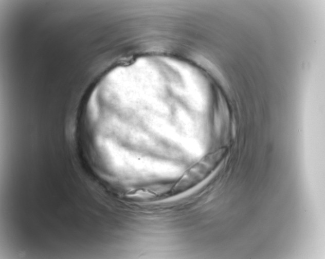 X0000088720483200706212023