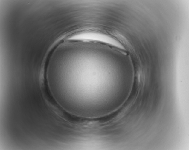 X0000088720484200706212023