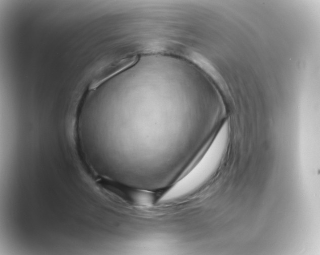 X0000088720485200706212023