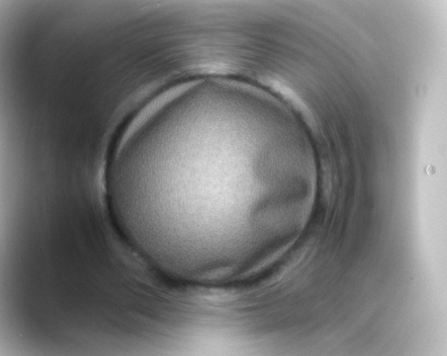 X0000088720486200706212023