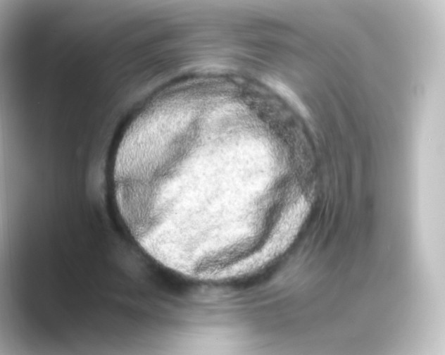 X0000088720487200706212023