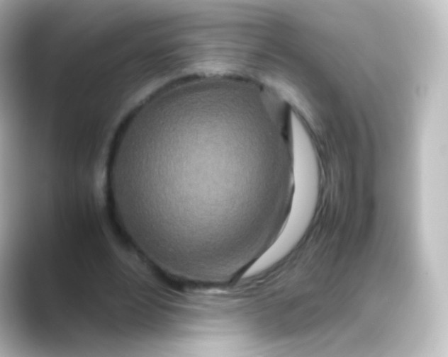 X0000088720488200706212023