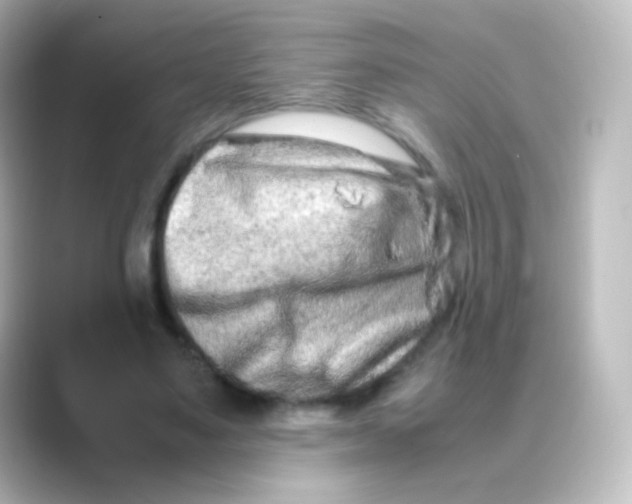 X0000088720491200706212023