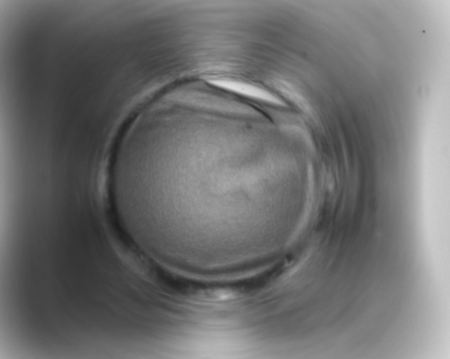 X0000088720492200706212023