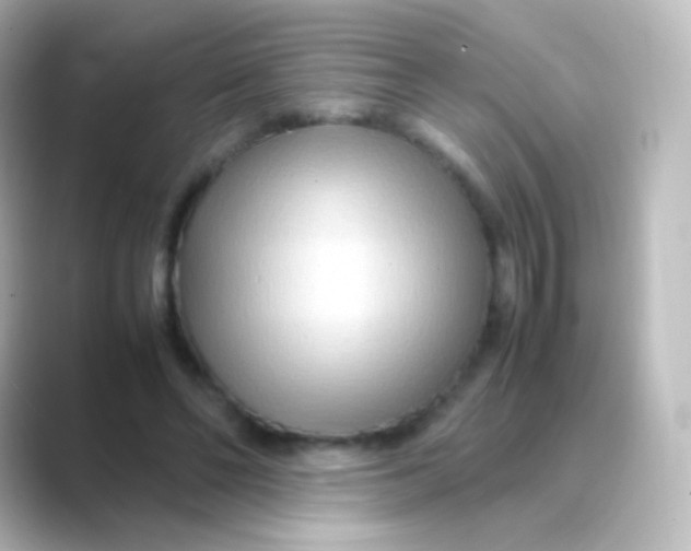 X0000088720494200706212023