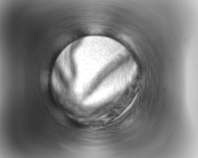 X0000088720495200706212023