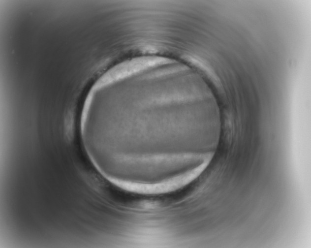 X0000088720496200706212023