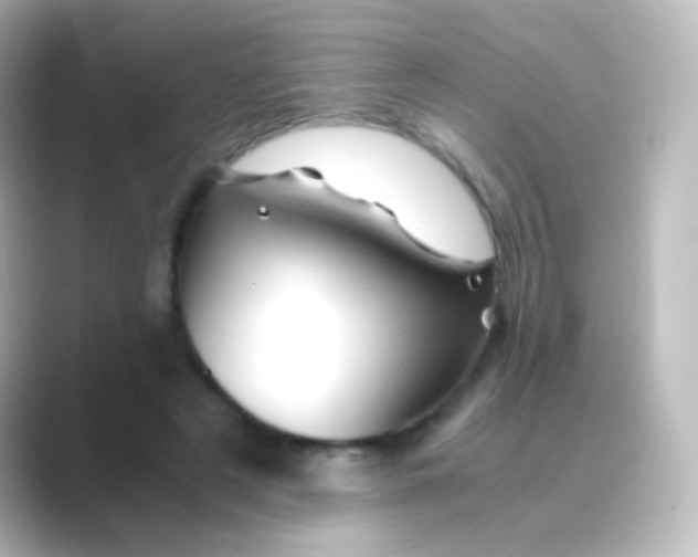 X0000088720497200706212023