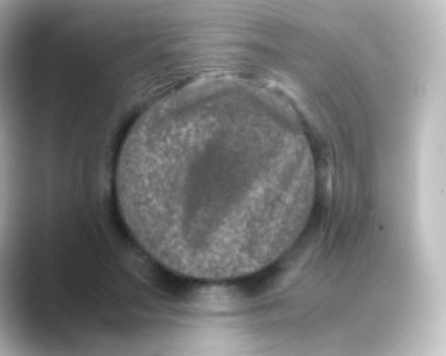 X0000088720499200706212023