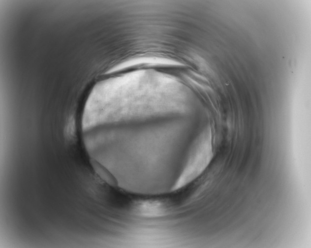 X0000088720500200706212023