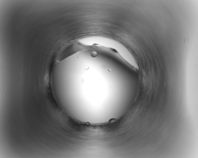 X0000088720502200706212023