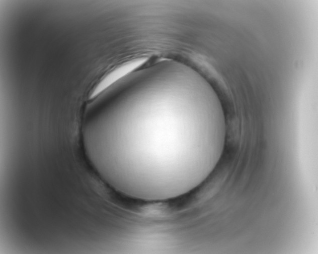 X0000088720505200706212023