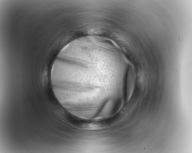 X0000088720506200706212023