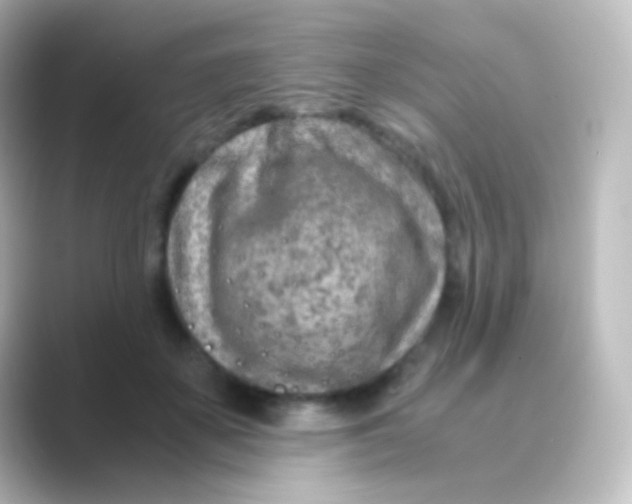 X0000088720507200706212023