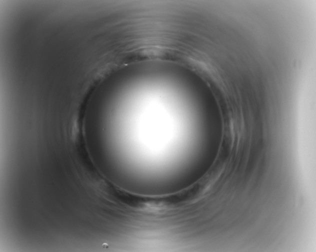 X0000088720508200706212023