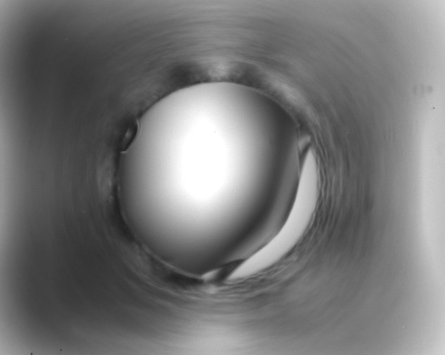 X0000088720509200706212023