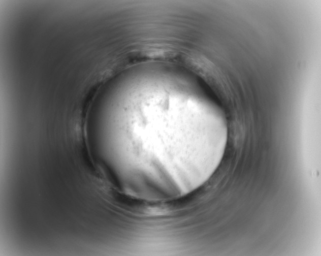 X0000088720510200706212023