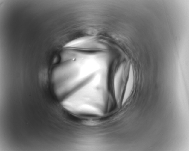 X0000088720511200706212023