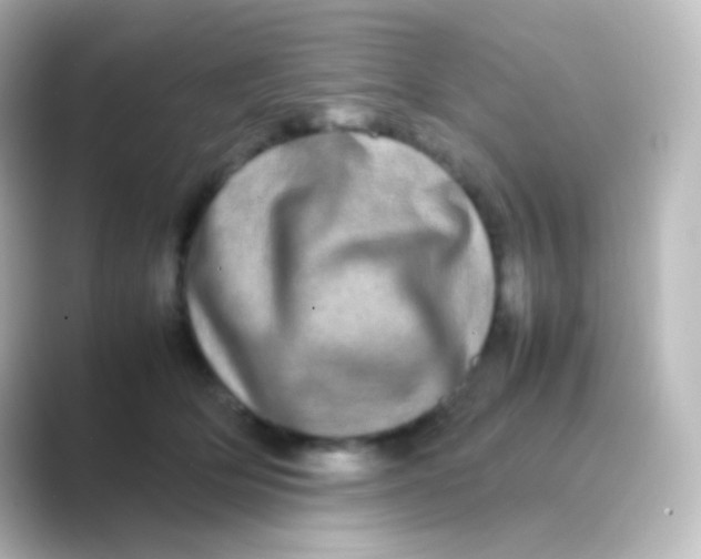 X0000088720514200706212023