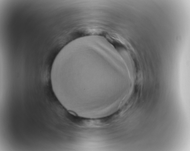 X0000088720517200706212023