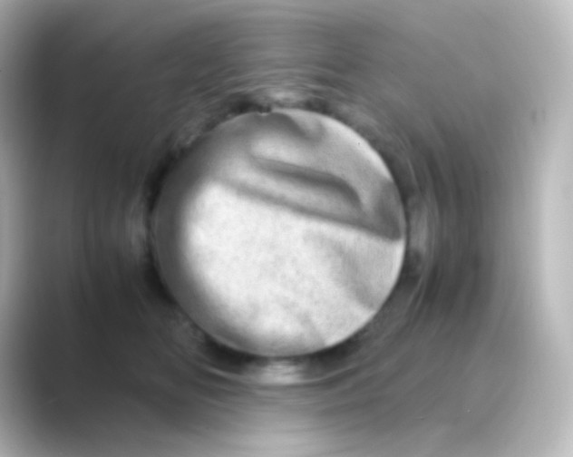 X0000088720518200706212023