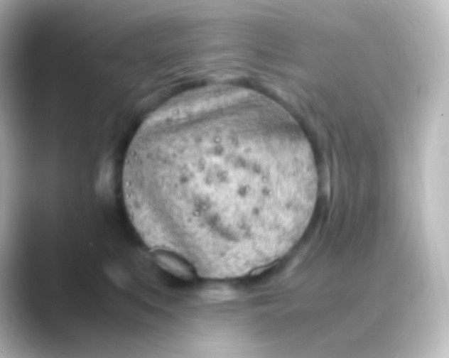 X0000088720519200706212023