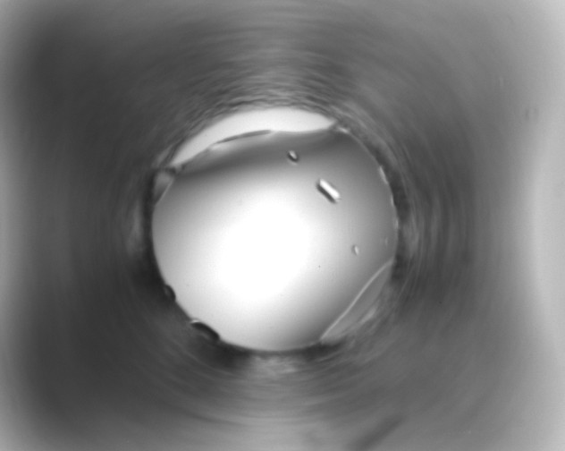 X0000088720520200706212023