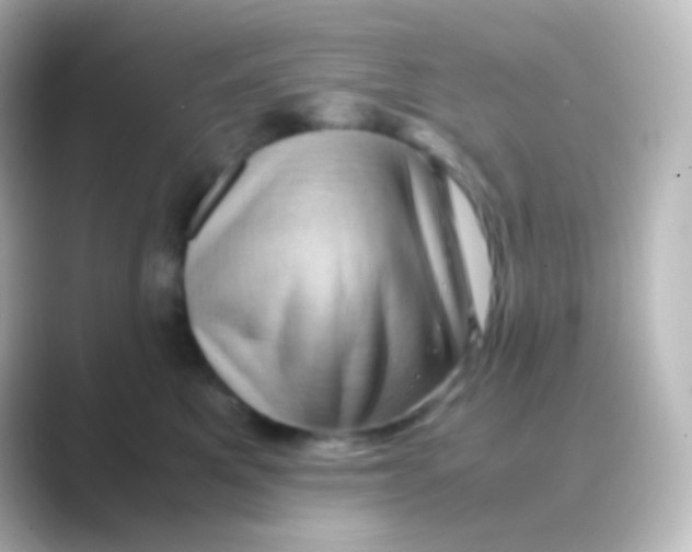 X0000088720521200706212023