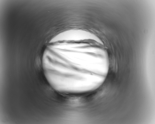 X0000088720523200706212023