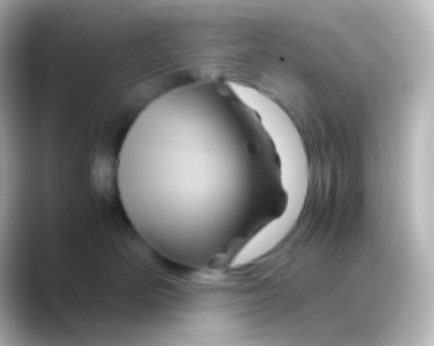 X0000088720526200706212023