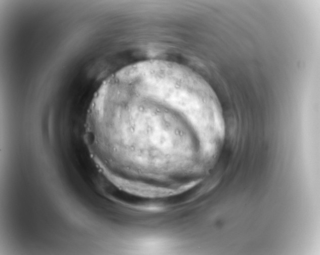 X0000088720527200706212023