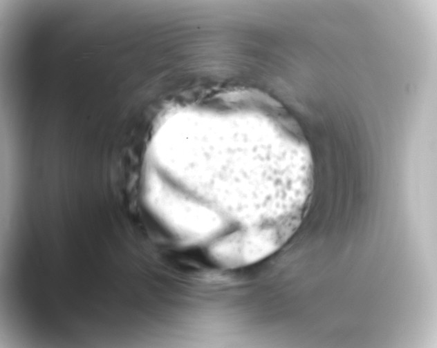 X0000088720528200706212023