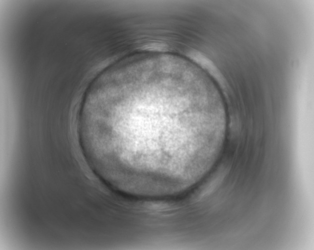 X0000088720529200706212022