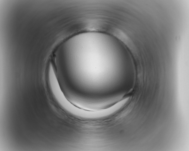 X0000088720530200706212022