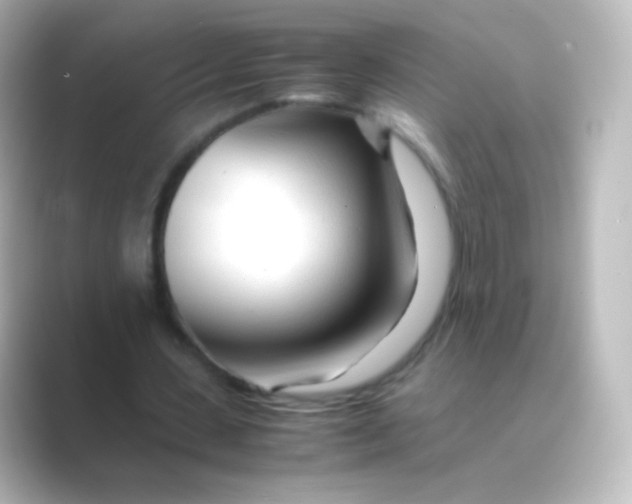 X0000088720531200706212022