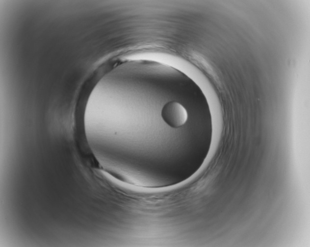 X0000088720532200706212022