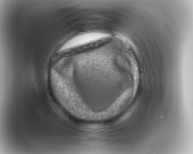 X0000088720533200706212022