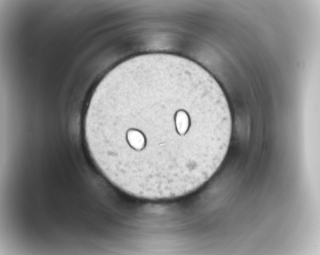 X0000088720534200706212022