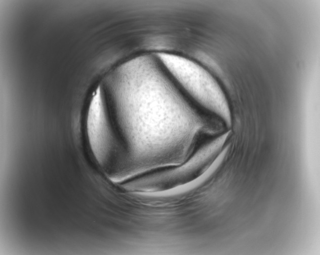 X0000088720535200706212022