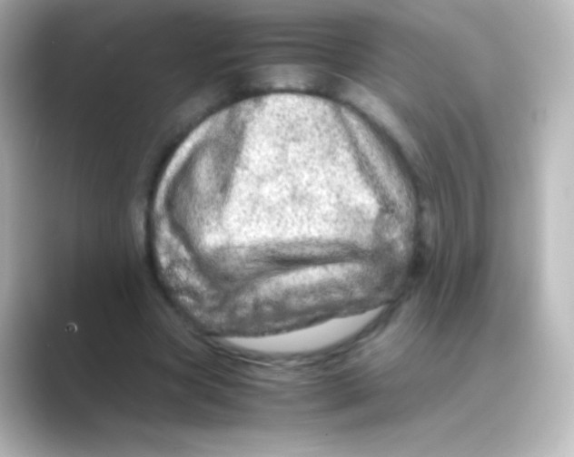 X0000088720537200706212022