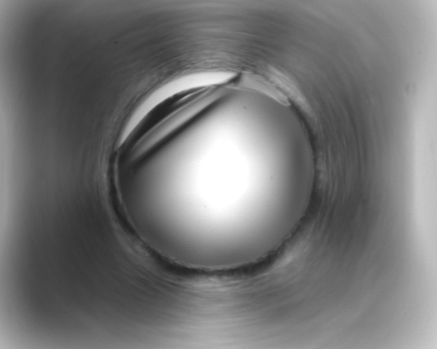 X0000088720538200706212022